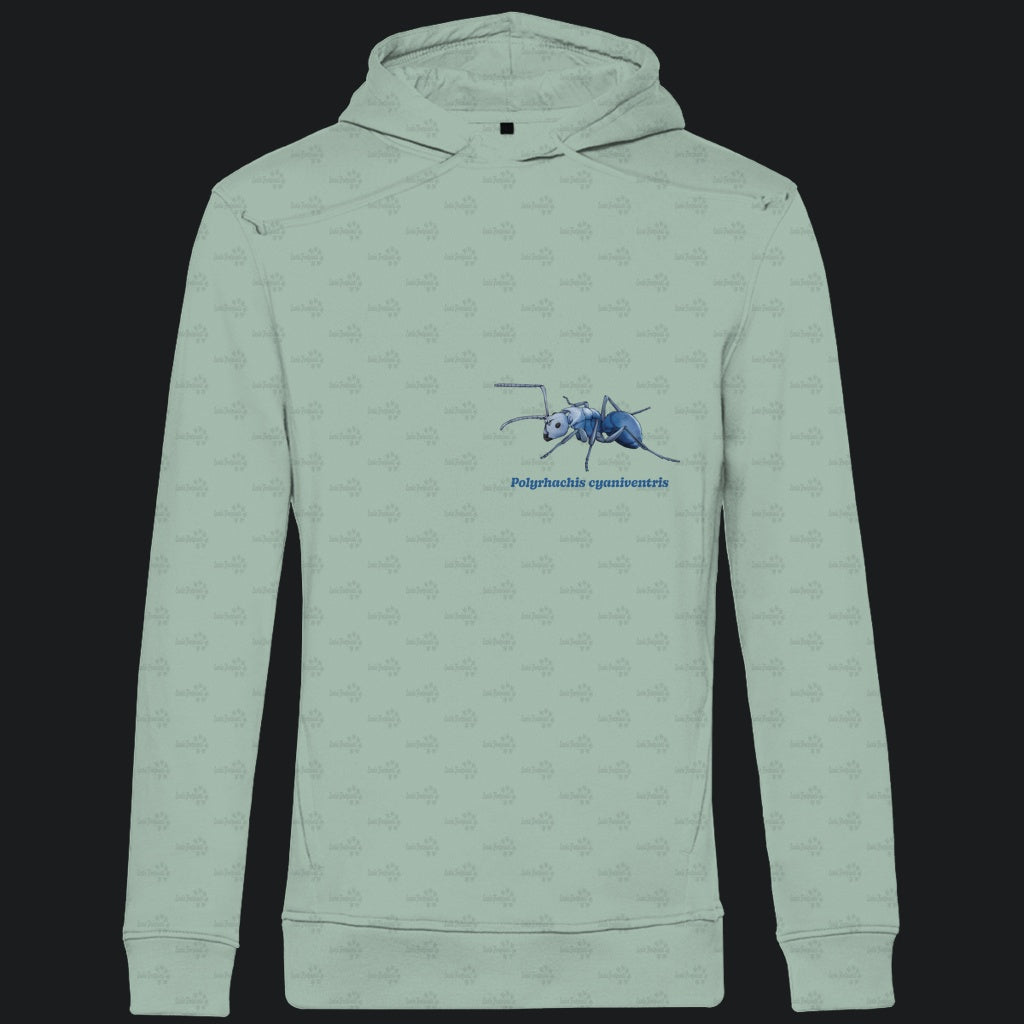 Herren  Bio Hoodie mit Seitentaschen | Blau schillernde Schuppenameise Polyrhachis cyaniventris