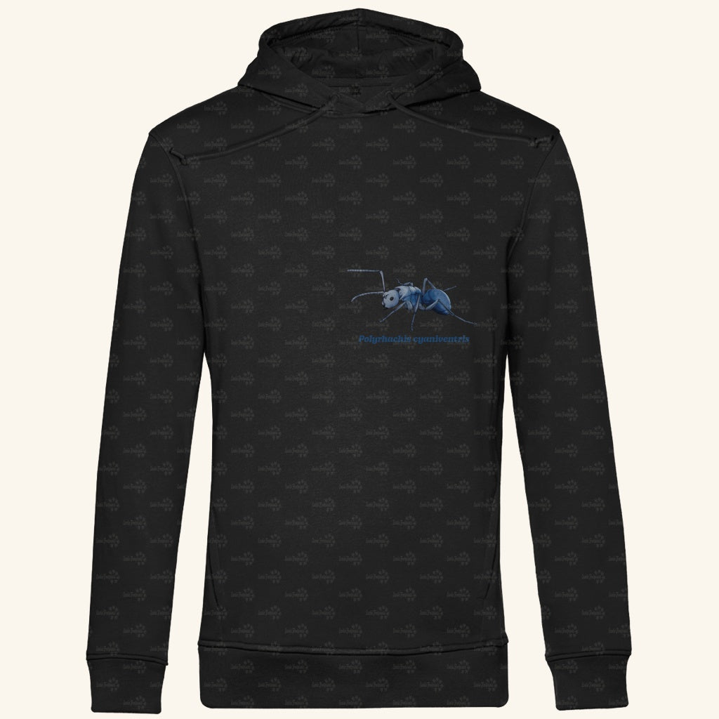 Herren  Bio Hoodie mit Seitentaschen | Blau schillernde Schuppenameise Polyrhachis cyaniventris
