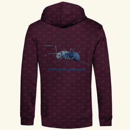 Herren  Bio Hoodie mit Seitentaschen | Blau schillernde Schuppenameise Polyrhachis cyaniventris