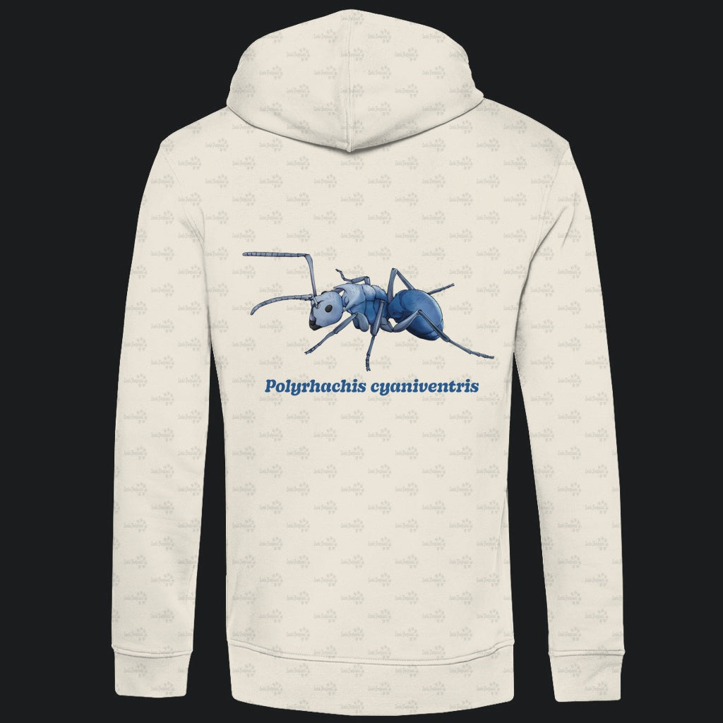 Herren  Bio Hoodie mit Seitentaschen | Blau schillernde Schuppenameise Polyrhachis cyaniventris