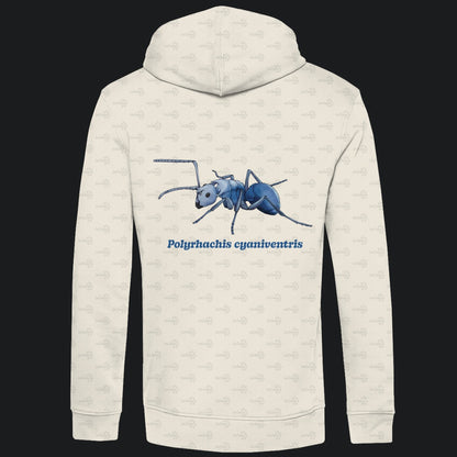 Herren  Bio Hoodie mit Seitentaschen | Blau schillernde Schuppenameise Polyrhachis cyaniventris