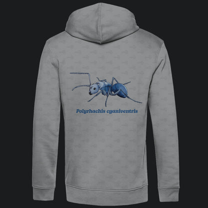 Herren  Bio Hoodie mit Seitentaschen | Blau schillernde Schuppenameise Polyrhachis cyaniventris
