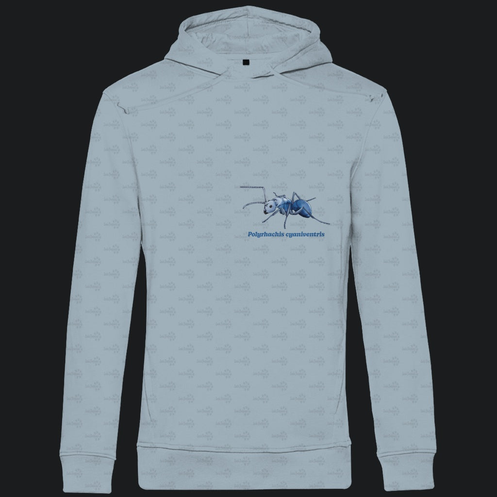 Herren  Bio Hoodie mit Seitentaschen | Blau schillernde Schuppenameise Polyrhachis cyaniventris