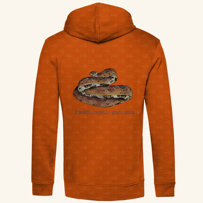 Herren Bio Hoodie mit Seitentaschen | Kornnatter  Cornsnake Pantherophis guttatus