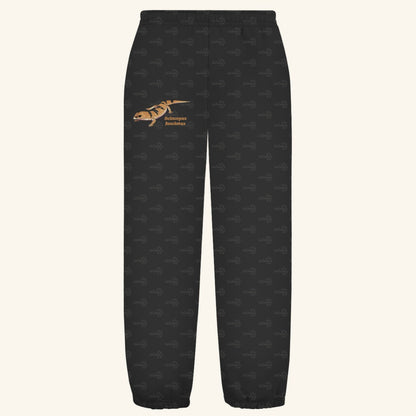 Kuschelige Unisex Sweatpants | Peters' gebänderter Skink Scincopus fasciatus