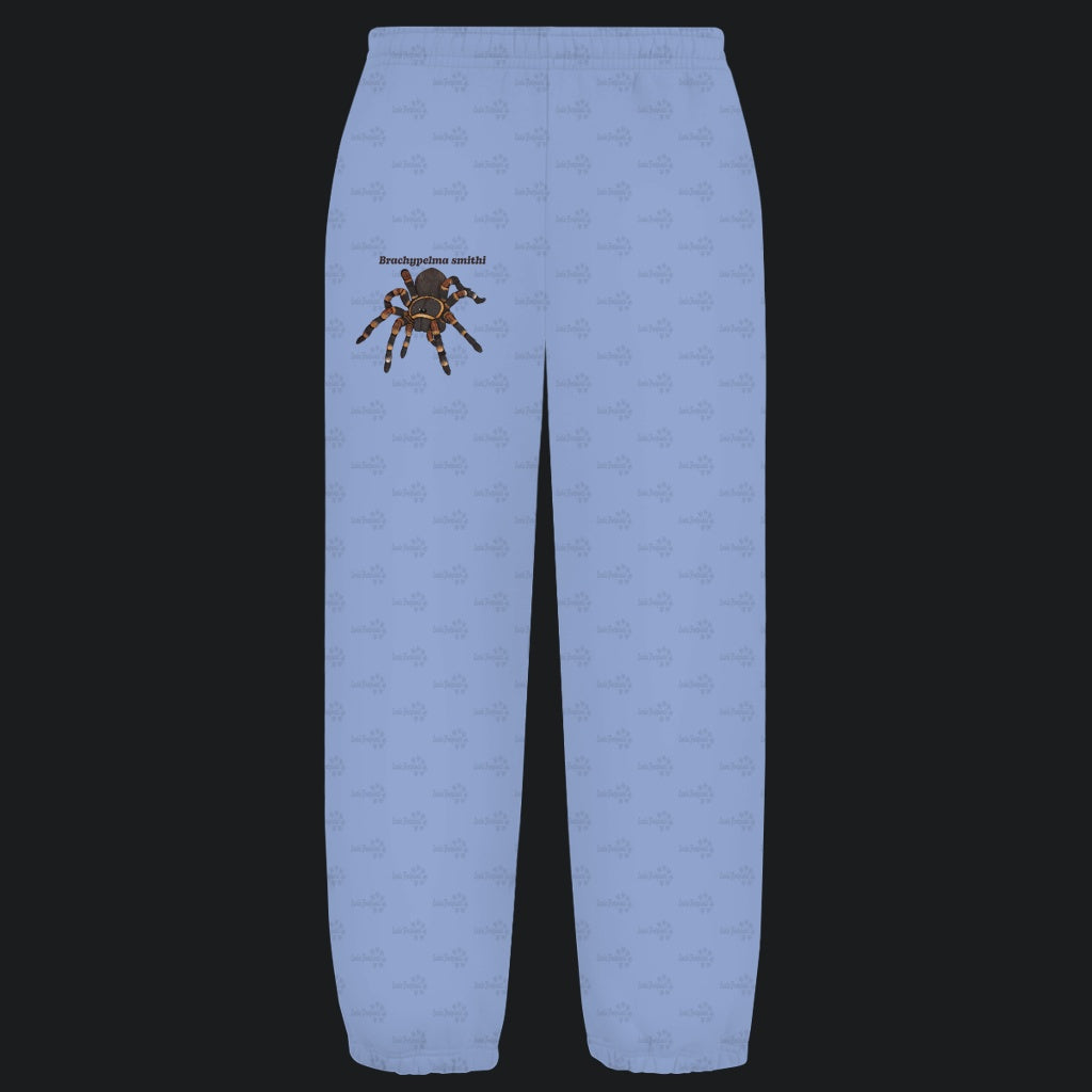 Kuschelige Unisex Sweatpants | Rotknie Vogelspinne Weiblich  Brachypelma smithi
