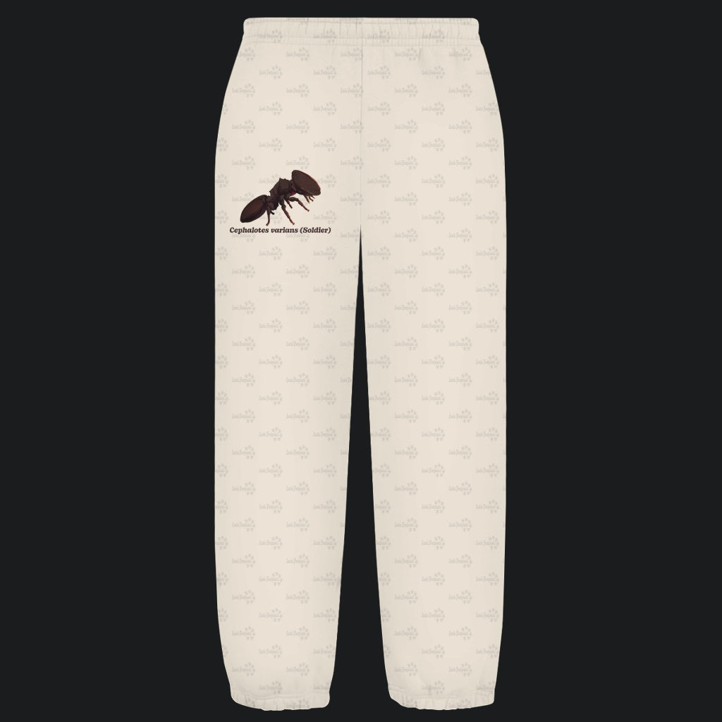 Kuschelige Unisex Sweatpants | Schildkrötenameise Cephalotes varians soldier