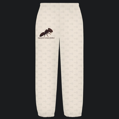 Kuschelige Unisex Sweatpants | Schildkrötenameise Cephalotes varians soldier