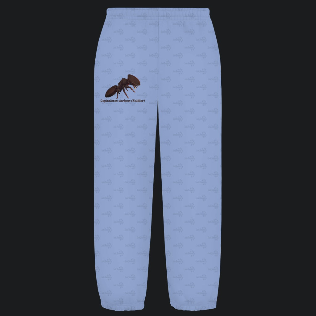 Kuschelige Unisex Sweatpants | Schildkrötenameise Cephalotes varians soldier