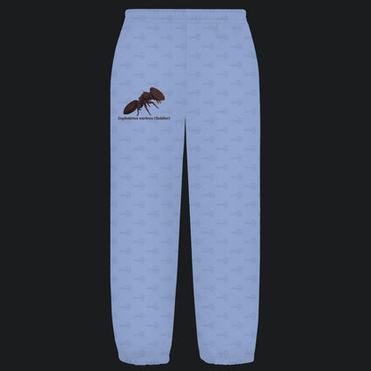 Kuschelige Unisex Sweatpants | Schildkrötenameise Cephalotes varians soldier