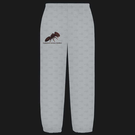 Kuschelige Unisex Sweatpants | Schildkrötenameise Cephalotes varians soldier
