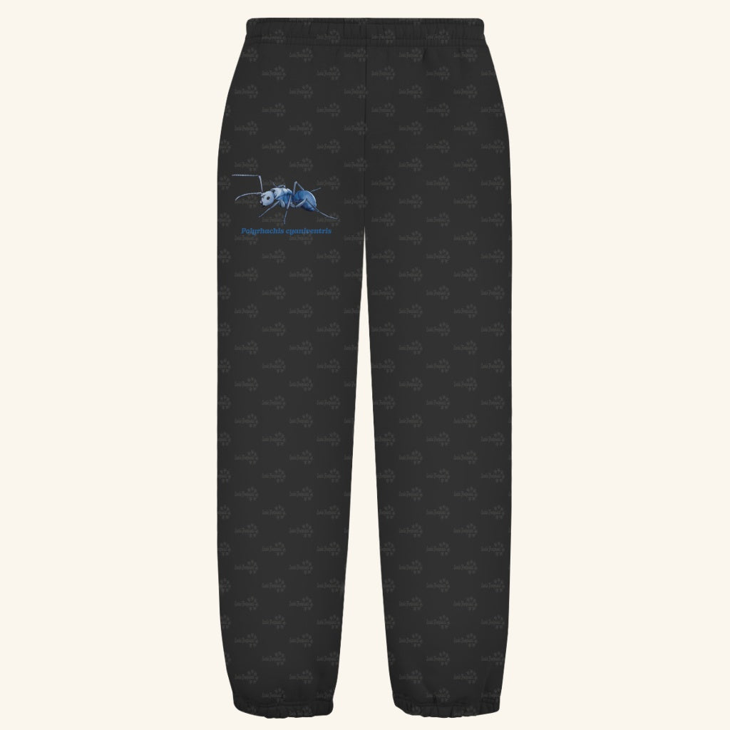 Kuschelige Unisex Sweatpants | Blau schillernde Schuppenameise Polyrhachis cyaniventris