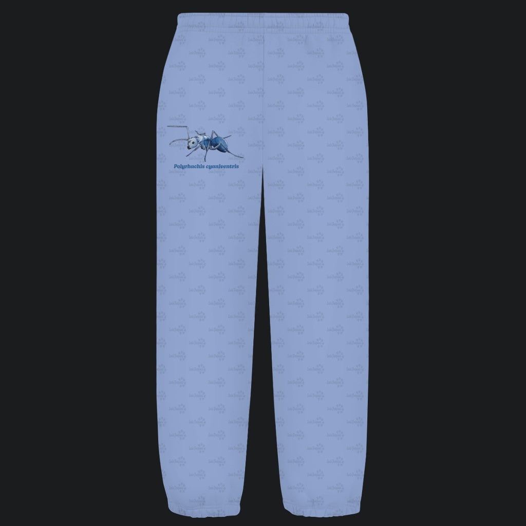 Kuschelige Unisex Sweatpants | Blau schillernde Schuppenameise Polyrhachis cyaniventris