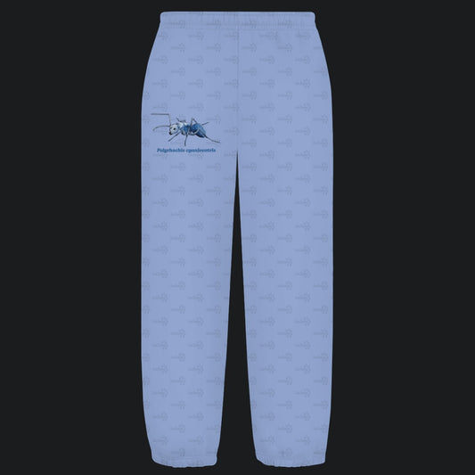 Kuschelige Unisex Sweatpants | Blau schillernde Schuppenameise Polyrhachis cyaniventris