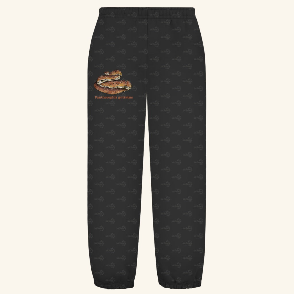 Kuschelige Unisex Sweatpants | Kornnatter  Cornsnake Pantherophis guttatus