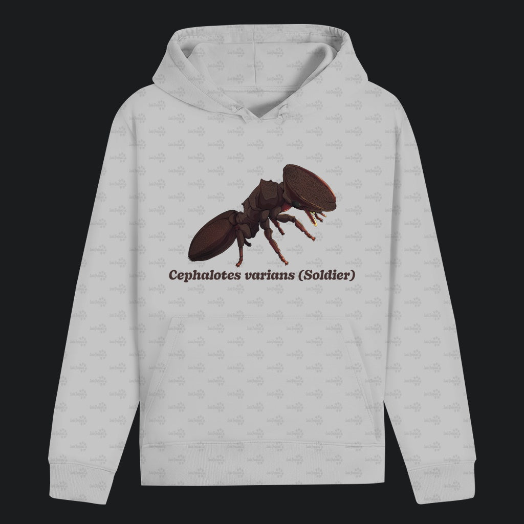 Unisex Bio Hoodie mit Bauchtasche | Schildkrötenameise Cephalotes varians soldier
