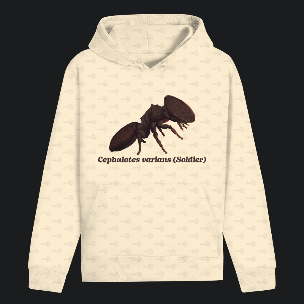Unisex Bio Hoodie mit Bauchtasche | Schildkrötenameise Cephalotes varians soldier