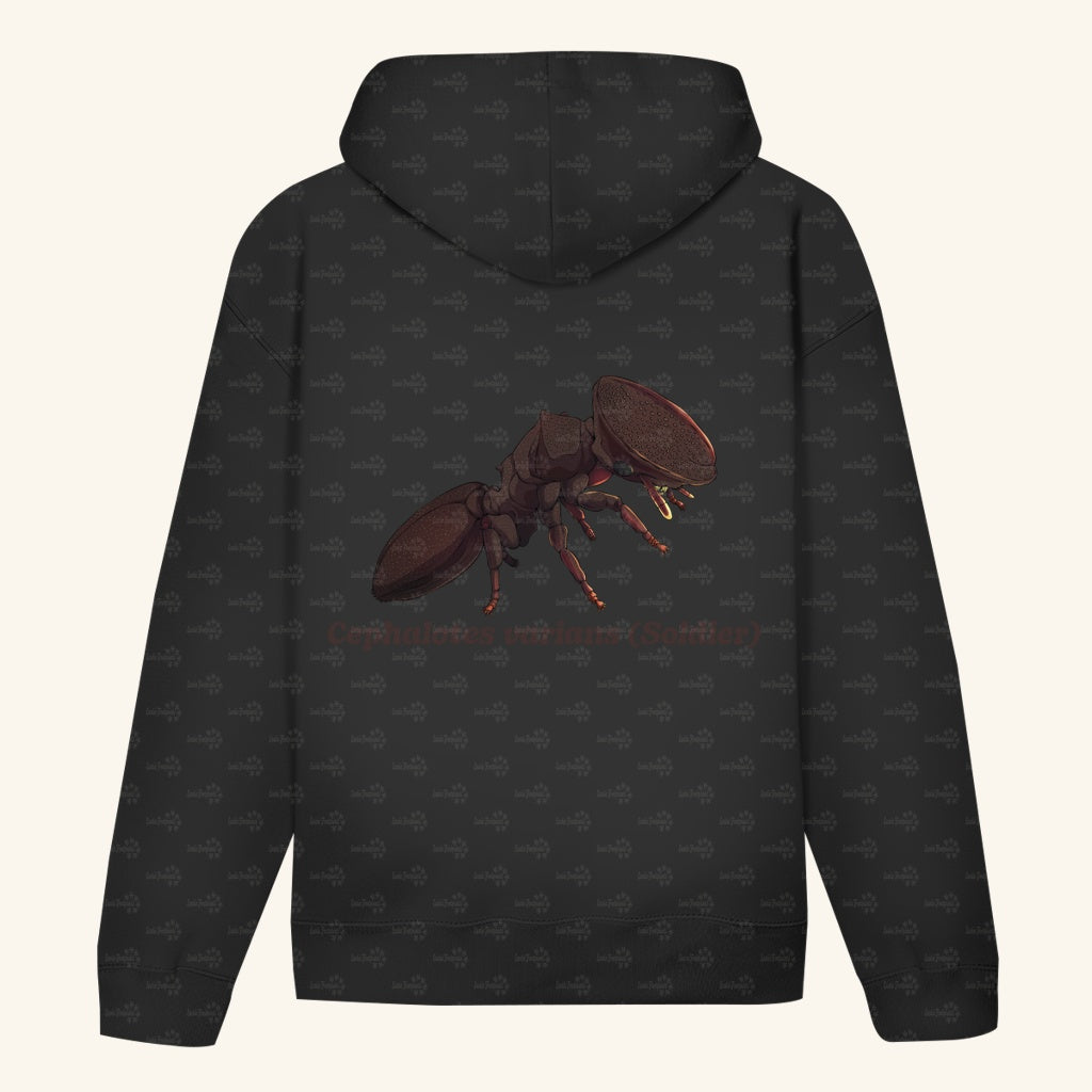 Unisex Bio Hoodie mit Bauchtasche | Schildkrötenameise Cephalotes varians soldier