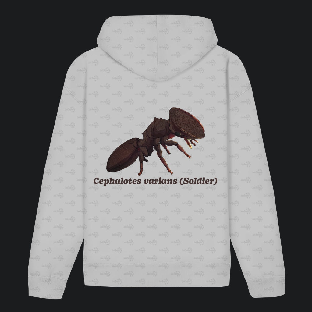 Unisex Bio Hoodie mit Bauchtasche | Schildkrötenameise Cephalotes varians soldier