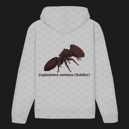 Unisex Bio Hoodie mit Bauchtasche | Schildkrötenameise Cephalotes varians soldier