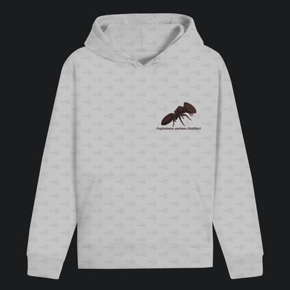 Unisex Bio Hoodie mit Bauchtasche | Schildkrötenameise Cephalotes varians soldier