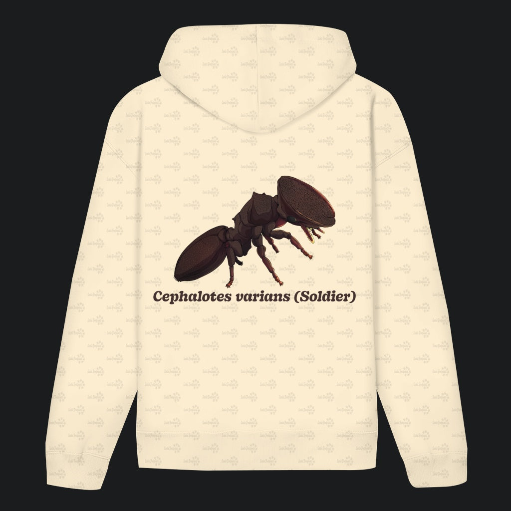 Unisex Bio Hoodie mit Bauchtasche | Schildkrötenameise Cephalotes varians soldier