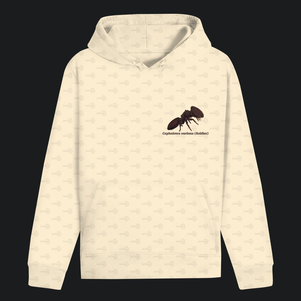 Unisex Bio Hoodie mit Bauchtasche | Schildkrötenameise Cephalotes varians soldier
