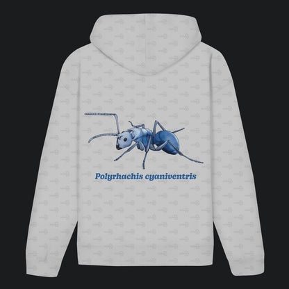 Unisex Bio Hoodie mit Bauchtasche | Blau schillernde Schuppenameise Polyrhachis cyaniventris
