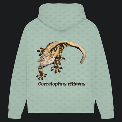 Damen Bio Hoodie mit Seitentaschen | Kronengecko | Crested Gecko | Correlophus ciliatus