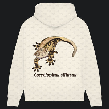 Damen Bio Hoodie mit Seitentaschen | Kronengecko | Crested Gecko | Correlophus ciliatus