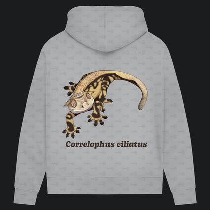 Damen Bio Hoodie mit Seitentaschen | Kronengecko | Crested Gecko | Correlophus ciliatus