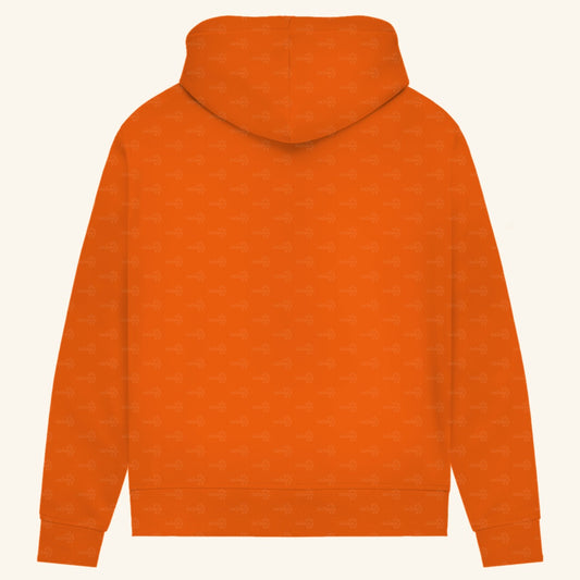 Damen Bio Hoodie mit Seitentaschen | Peters' gebänderter Skink Scincopus fasciatus