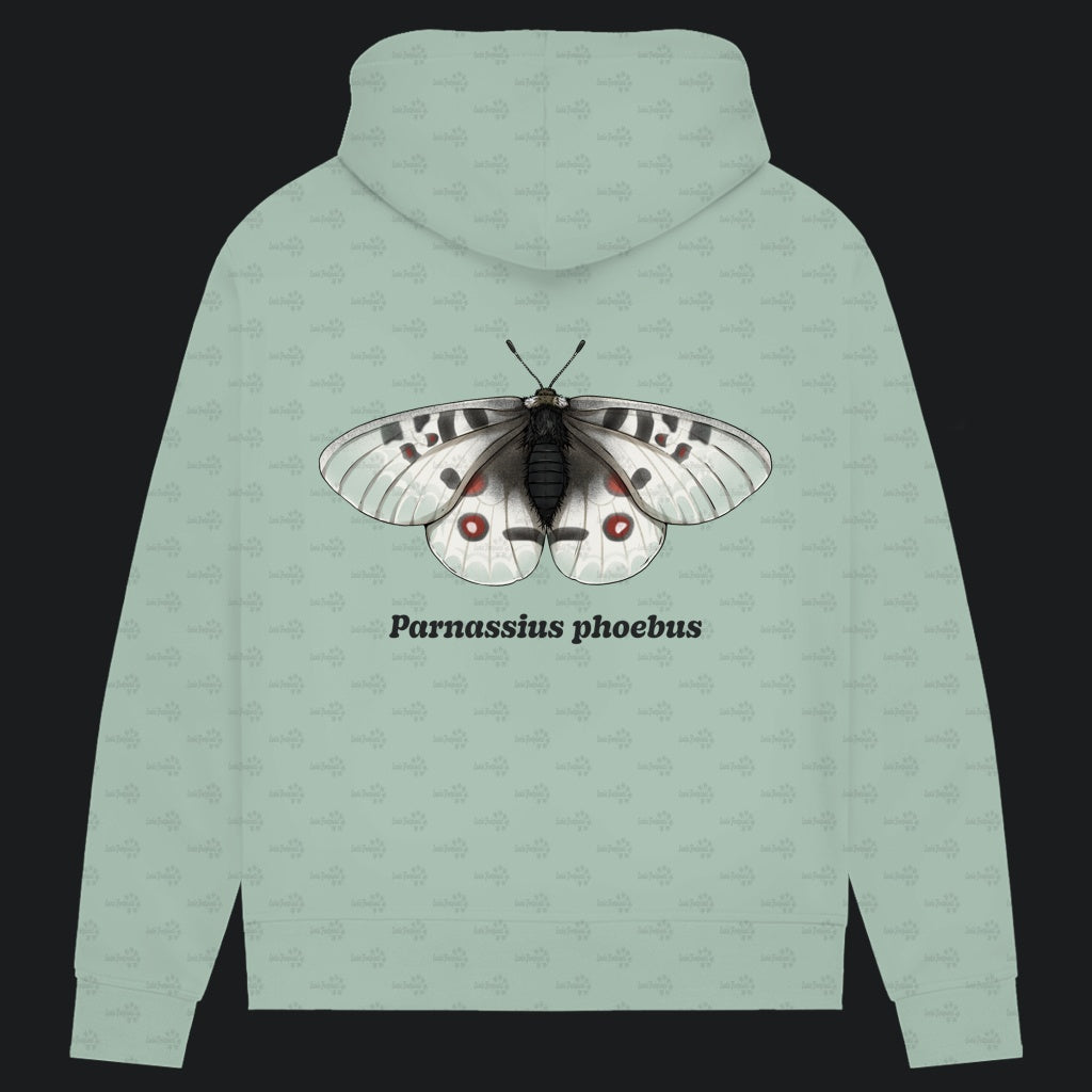 Damen Bio Hoodie mit Seitentaschen | Alpenapollo Parnassius phoebus