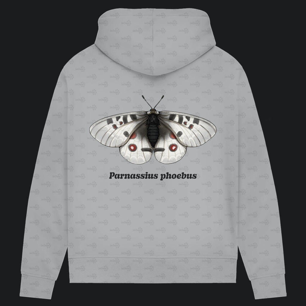 Damen Bio Hoodie mit Seitentaschen | Alpenapollo Parnassius phoebus