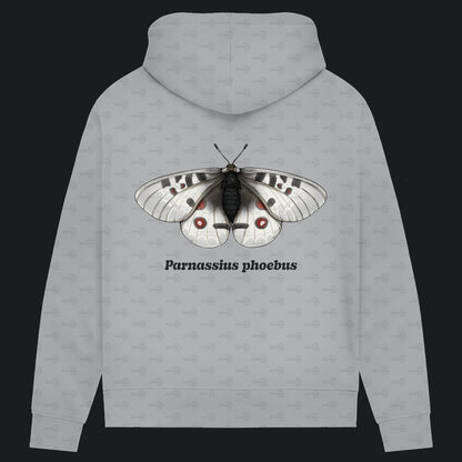 Damen Bio Hoodie mit Seitentaschen | Alpenapollo Parnassius phoebus