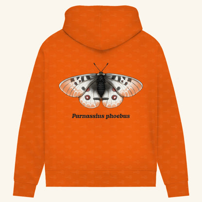 Damen Bio Hoodie mit Seitentaschen | Alpenapollo Parnassius phoebus