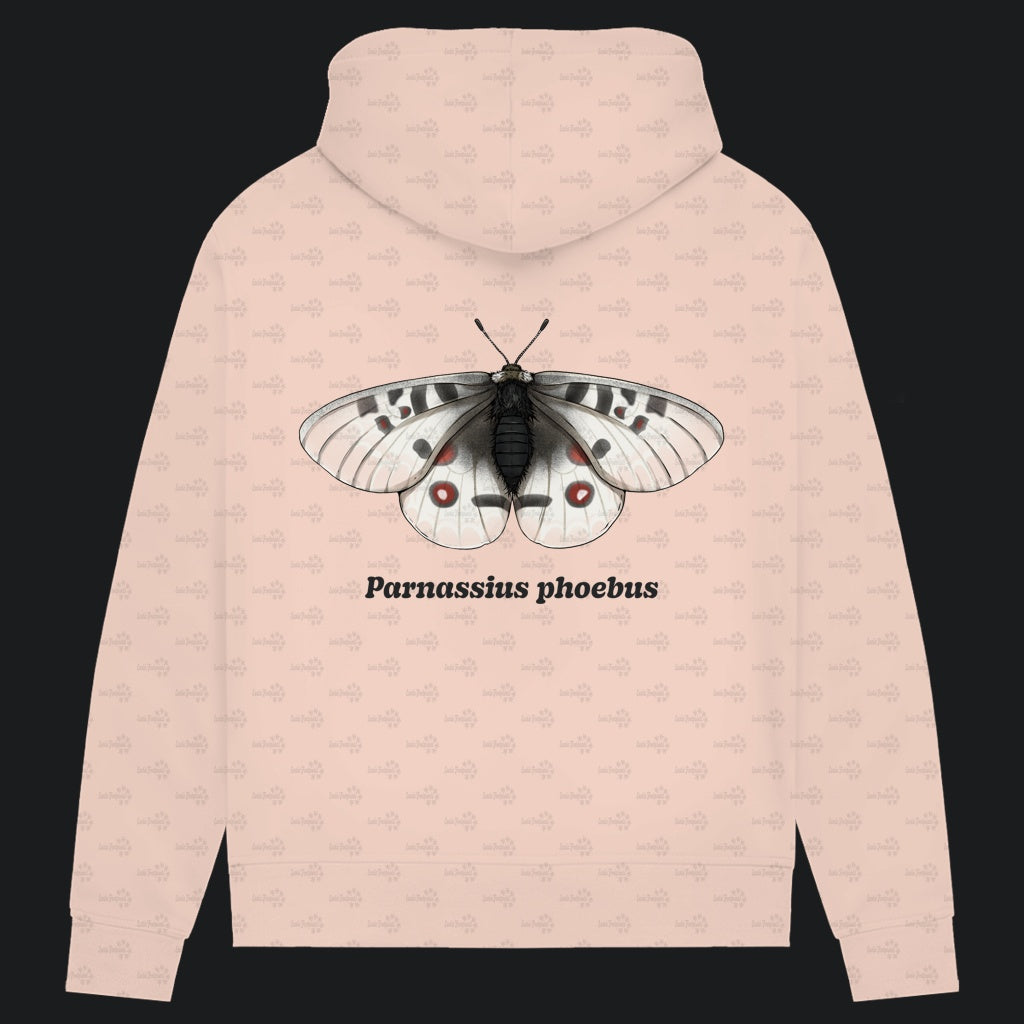 Damen Bio Hoodie mit Seitentaschen | Alpenapollo Parnassius phoebus