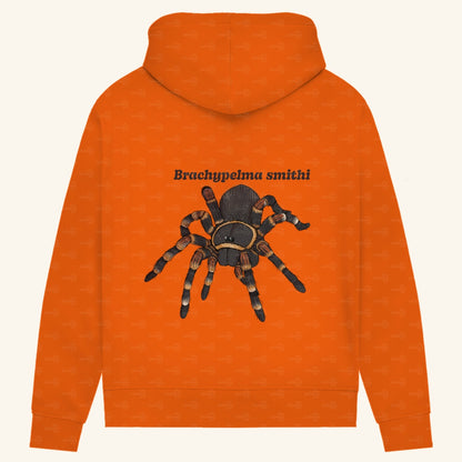 Damen Bio Hoodie mit Seitentaschen | Rotknie Vogelspinne Weiblich  Brachypelma smithi