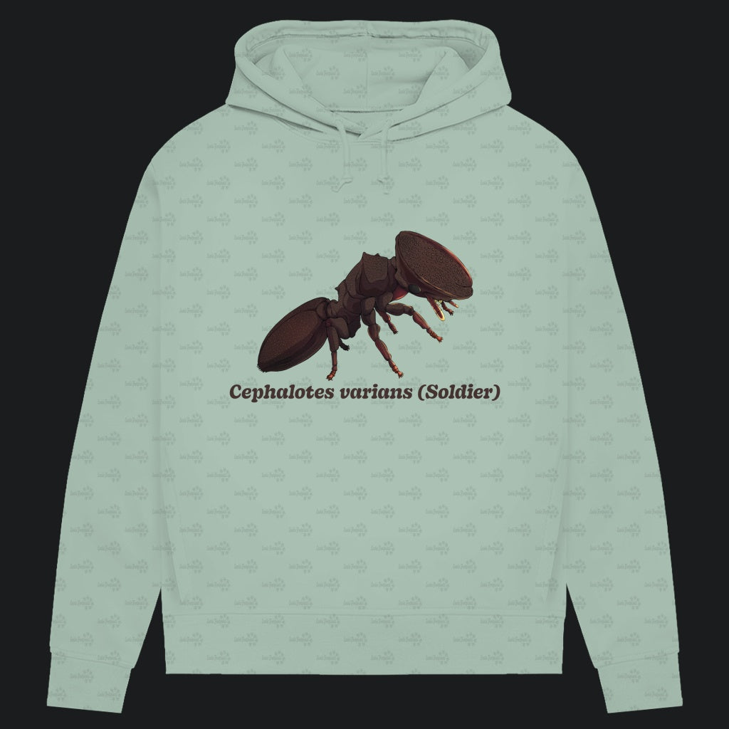 Damen Bio Hoodie mit Seitentaschen | Schildkrötenameise Cephalotes varians soldier