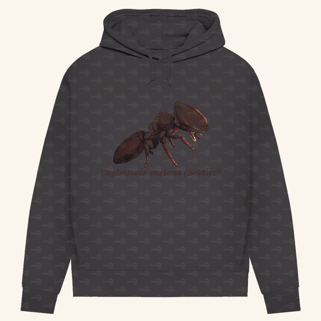 Damen Bio Hoodie mit Seitentaschen | Schildkrötenameise Cephalotes varians soldier