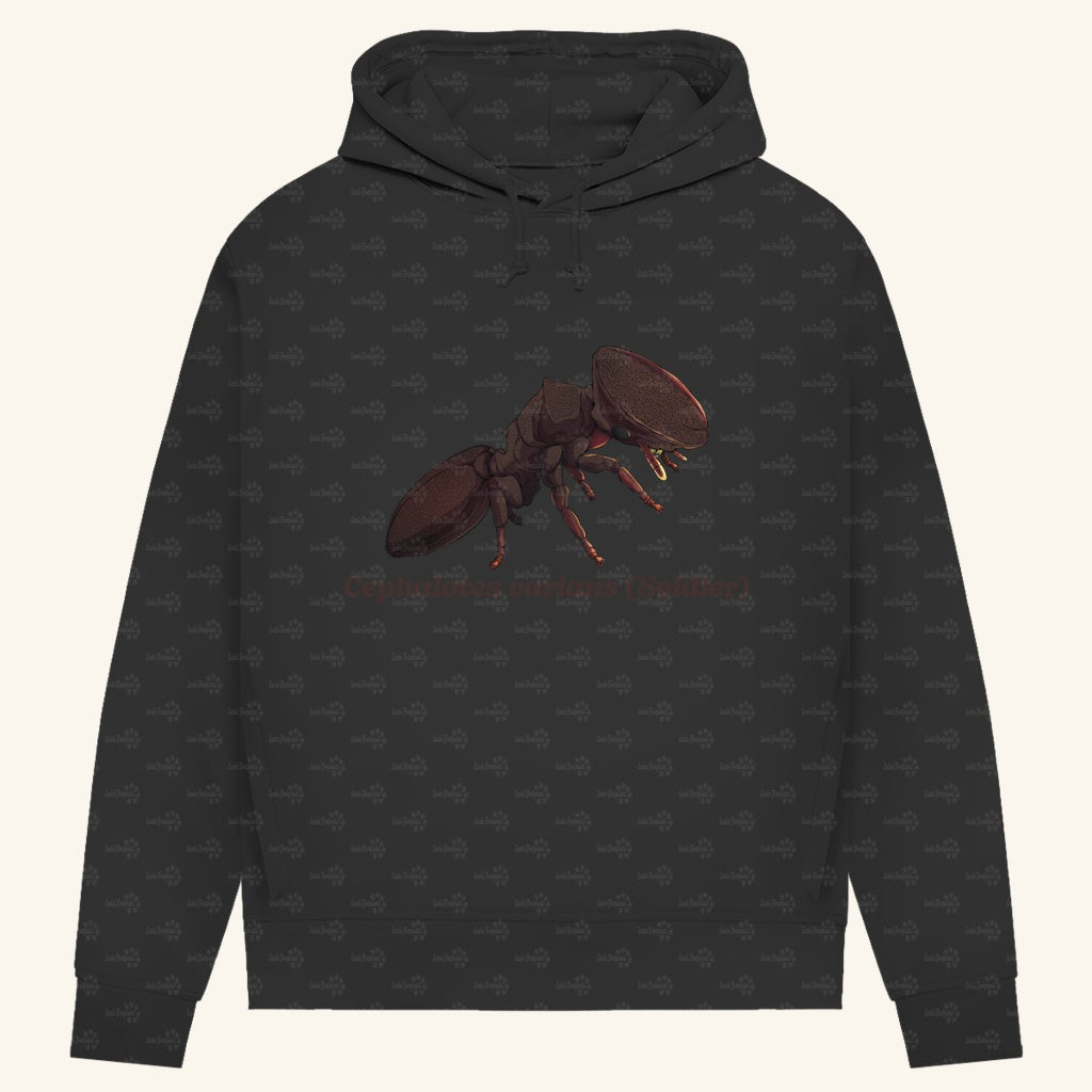 Damen Bio Hoodie mit Seitentaschen | Schildkrötenameise Cephalotes varians soldier