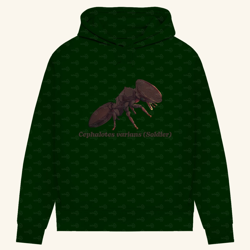Damen Bio Hoodie mit Seitentaschen | Schildkrötenameise Cephalotes varians soldier