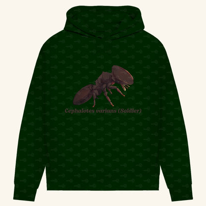 Damen Bio Hoodie mit Seitentaschen | Schildkrötenameise Cephalotes varians soldier