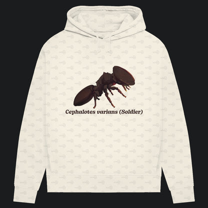 Damen Bio Hoodie mit Seitentaschen | Schildkrötenameise Cephalotes varians soldier