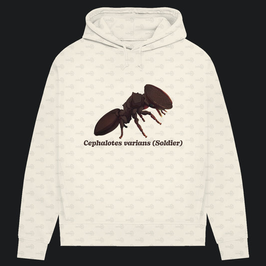 Damen Bio Hoodie mit Seitentaschen | Schildkrötenameise Cephalotes varians soldier