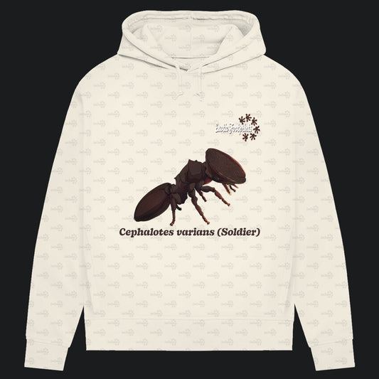 Damen Bio Hoodie mit Seitentaschen | Schildkrötenameise Cephalotes varians soldier