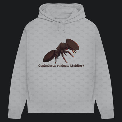 Damen Bio Hoodie mit Seitentaschen | Schildkrötenameise Cephalotes varians soldier