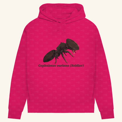 Damen Bio Hoodie mit Seitentaschen | Schildkrötenameise Cephalotes varians soldier