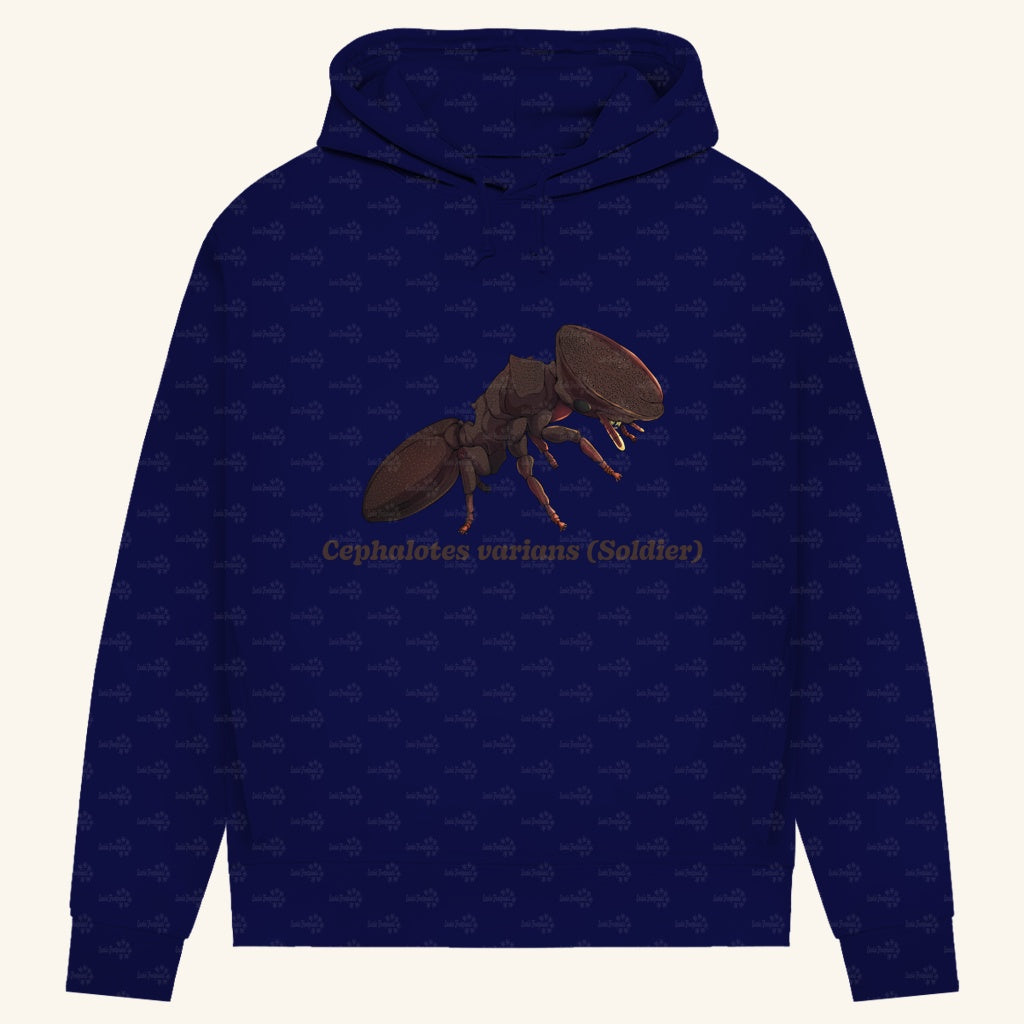 Damen Bio Hoodie mit Seitentaschen | Schildkrötenameise Cephalotes varians soldier