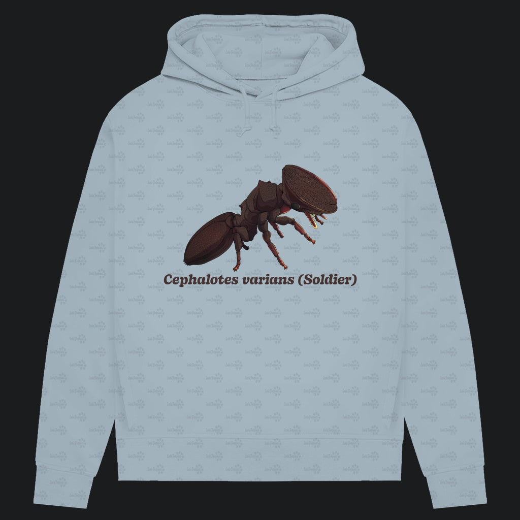 Damen Bio Hoodie mit Seitentaschen | Schildkrötenameise Cephalotes varians soldier